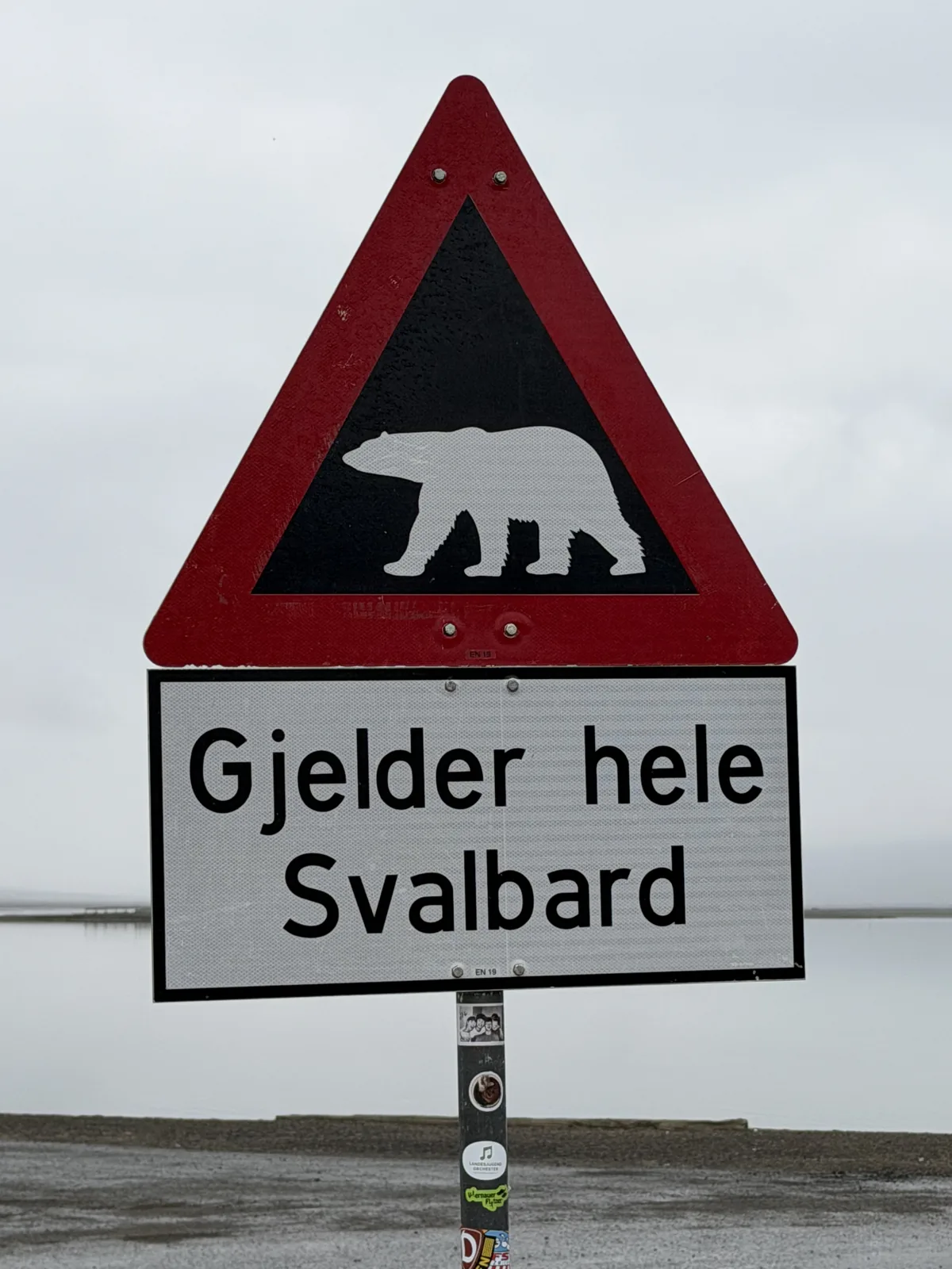 A polar bear warning road sign