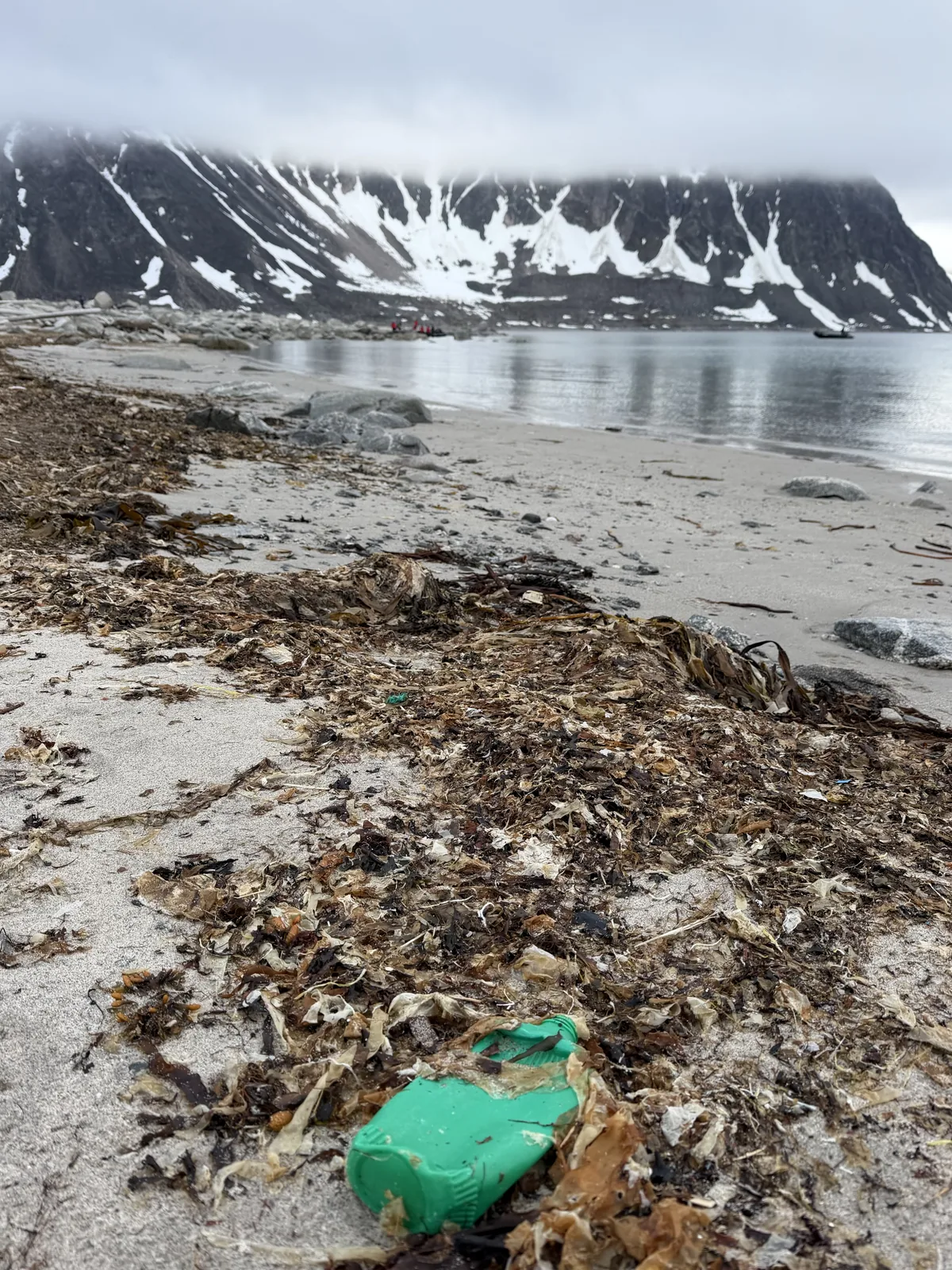 A plastic bottle in shoreline wrack with an empty fjord behind
