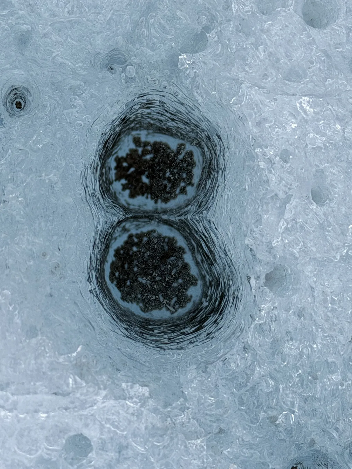Two cryoconite holes forming a figure eight in glacier ice