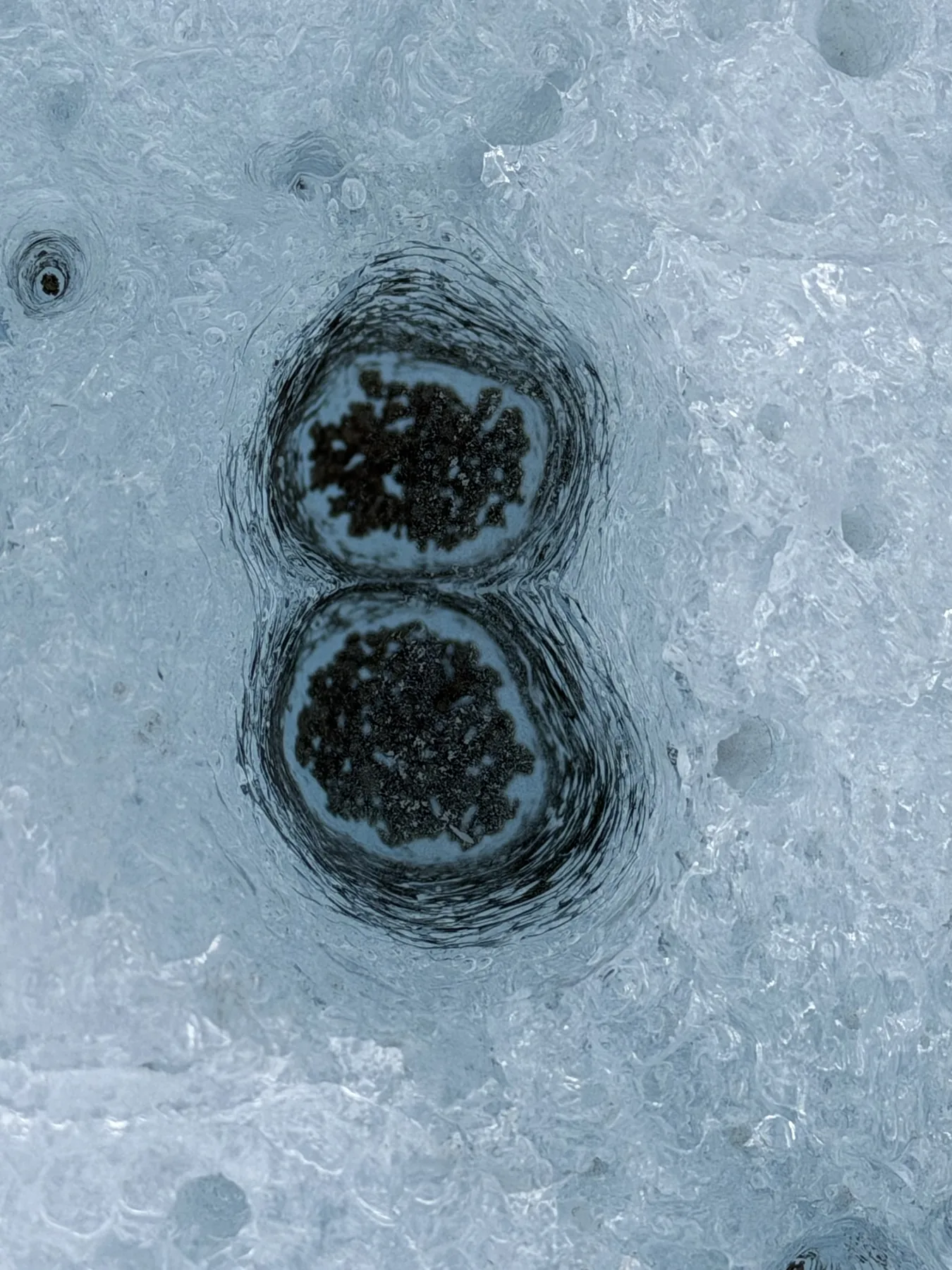 A figure of eight melted into glacier ice: two round cryoconite hollows stacked with clear ice between