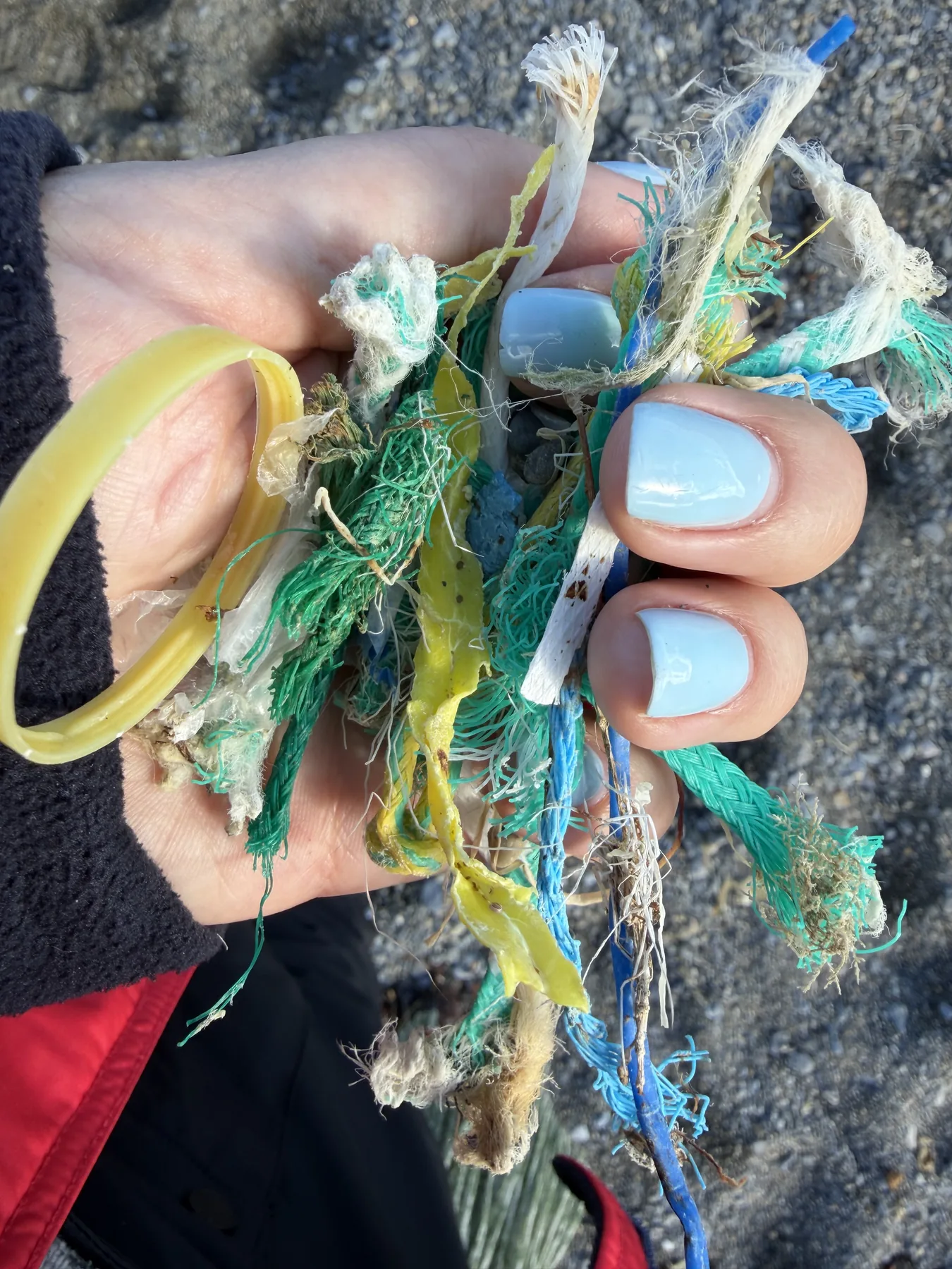 The author's hand holding a fistful of collected shoreline plastic — net, filament, a bottle ring