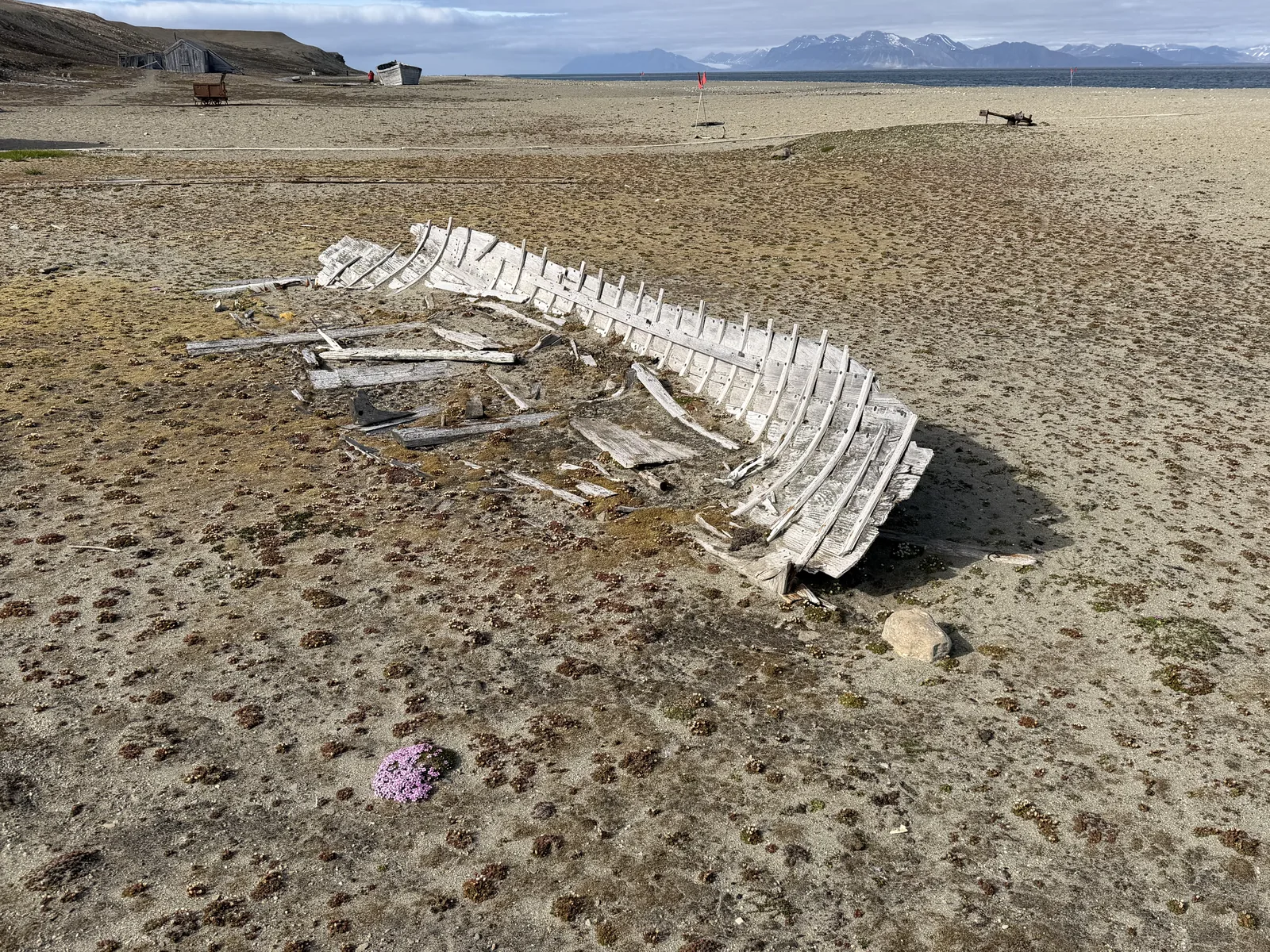 The ribs of a wrecked wooden boat on sand